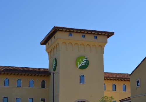 Who is Competing to Become the Mayor of Cedar Park, Texas?