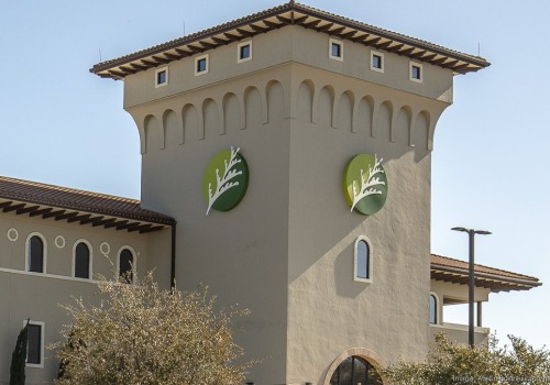 Who are the Elected Officials Serving in Cedar Park, Texas?
